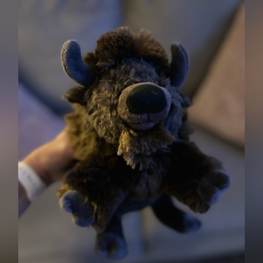 🌲 $5 sale w bundle

BISON BUFFALO STUFFED PLUSH TO